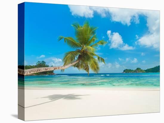 Tropical beach, Seychelles (detail)-null-Stretched Canvas