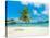 Tropical beach, Seychelles (detail)-null-Stretched Canvas
