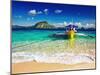Tropical Beach, South China See, El-Nido, Philippines-DmitryP-Mounted Photographic Print