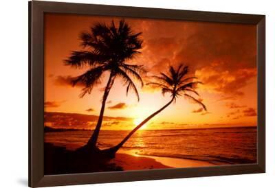 'Tropical Beach, Sunset' Prints | AllPosters.com