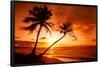 Tropical Beach, Sunset-null-Framed Poster