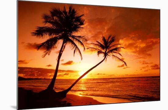 Tropical Beach, Sunset-null-Mounted Poster