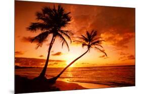 Tropical Beach, Sunset-null-Mounted Poster