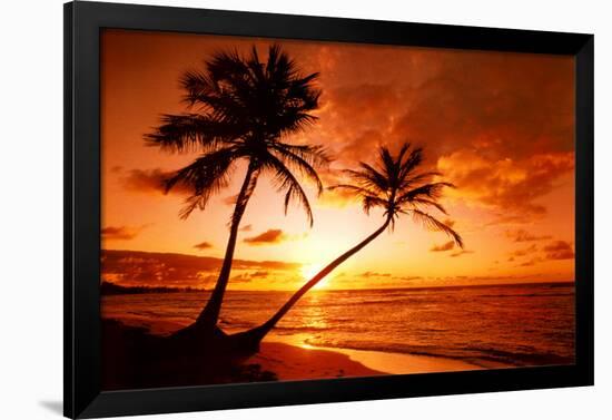 Tropical Beach, Sunset-null-Framed Poster