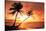 Tropical Beach Sunset-null-Stretched Canvas
