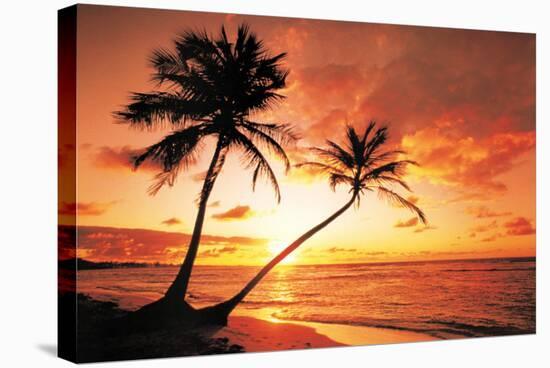 Tropical Beach Sunset-null-Stretched Canvas
