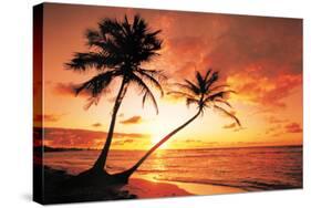 Tropical Beach Sunset-null-Stretched Canvas