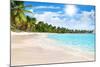 Tropical Beach, Turquoise Sea Water, Ocean Wave, Yellow Sand, Green Palms, Sun Blue Sky, White Clou-Vera NewSib-Mounted Photographic Print