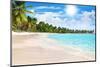 Tropical Beach, Turquoise Sea Water, Ocean Wave, Yellow Sand, Green Palms, Sun Blue Sky, White Clou-Vera NewSib-Mounted Photographic Print