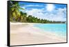 Tropical Beach, Turquoise Sea Water, Ocean Wave, Yellow Sand, Green Palms, Sun Blue Sky, White Clou-Vera NewSib-Framed Stretched Canvas