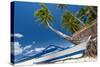 Tropical Beach View-pashapixel-Stretched Canvas