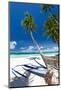 Tropical Beach View-pashapixel-Mounted Photographic Print