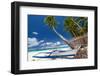 Tropical Beach View-pashapixel-Framed Photographic Print