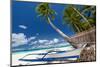 Tropical Beach View-pashapixel-Mounted Photographic Print