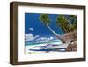 Tropical Beach View-pashapixel-Framed Photographic Print