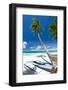 Tropical Beach View-pashapixel-Framed Photographic Print