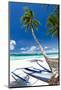 Tropical Beach View-pashapixel-Mounted Photographic Print