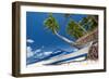 Tropical Beach View-pashapixel-Framed Photographic Print