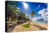 Tropical Beach with a Coconut Palm Trees and a Beach Fales, Samoa Islands-Martin Valigursky-Stretched Canvas