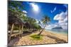 Tropical Beach with a Coconut Palm Trees and a Beach Fales, Samoa Islands-Martin Valigursky-Mounted Photographic Print