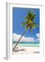 Tropical Beach with Beautiful Palm and White Sand-pashapixel-Framed Photographic Print