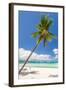 Tropical Beach with Beautiful Palm and White Sand-pashapixel-Framed Photographic Print