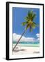 Tropical Beach with Beautiful Palm and White Sand-pashapixel-Framed Photographic Print