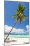 Tropical Beach with Beautiful Palm and White Sand-pashapixel-Mounted Photographic Print