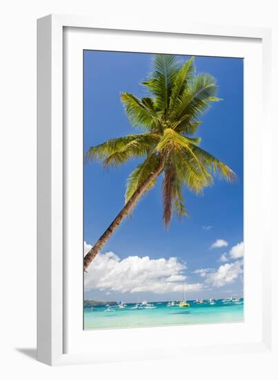 Tropical Beach with Beautiful Palm and White Sand-pashapixel-Framed Photographic Print