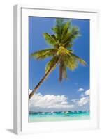 Tropical Beach with Beautiful Palm and White Sand-pashapixel-Framed Photographic Print