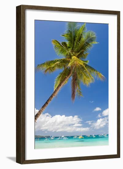 Tropical Beach with Beautiful Palm and White Sand-pashapixel-Framed Photographic Print