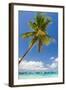 Tropical Beach with Beautiful Palm and White Sand-pashapixel-Framed Photographic Print