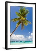 Tropical Beach with Beautiful Palm and White Sand-pashapixel-Framed Photographic Print