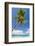 Tropical Beach with Beautiful Palm and White Sand-pashapixel-Framed Photographic Print