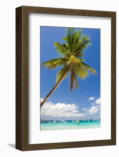 Tropical Beach with Beautiful Palm and White Sand-pashapixel-Framed Photographic Print