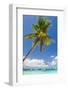 Tropical Beach with Beautiful Palm and White Sand-pashapixel-Framed Photographic Print