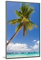 Tropical Beach with Beautiful Palm and White Sand-pashapixel-Mounted Photographic Print