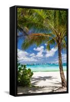 Tropical Beach with Beautiful Palm-pashapixel-Framed Stretched Canvas