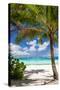 Tropical Beach with Beautiful Palm-pashapixel-Stretched Canvas