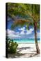 Tropical Beach with Beautiful Palm-pashapixel-Stretched Canvas