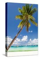 Tropical Beach with Beautiful Palm-pashapixel-Stretched Canvas