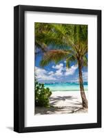 Tropical Beach with Beautiful Palm-pashapixel-Framed Photographic Print