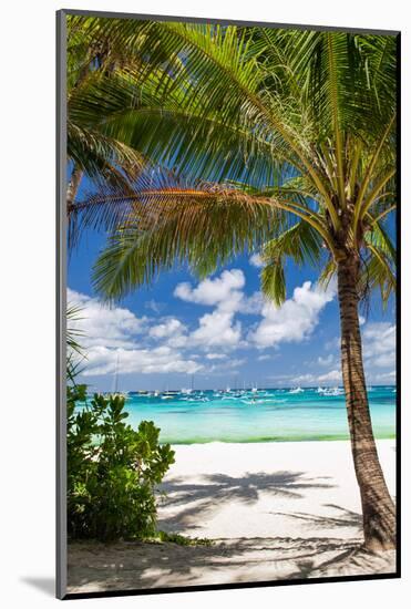 Tropical Beach with Beautiful Palm-pashapixel-Mounted Photographic Print