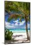 Tropical Beach with Beautiful Palm-pashapixel-Mounted Photographic Print