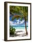 Tropical Beach with Beautiful Palm-pashapixel-Framed Photographic Print