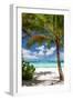 Tropical Beach with Beautiful Palm-pashapixel-Framed Photographic Print