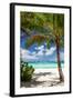 Tropical Beach with Beautiful Palm-pashapixel-Framed Photographic Print