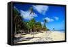 Tropical Beach with Beautiful Palms and White Sand-pashapixel-Framed Stretched Canvas