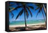 Tropical Beach with Beautiful Palms and White Sand-pashapixel-Framed Stretched Canvas