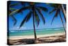 Tropical Beach with Beautiful Palms and White Sand-pashapixel-Stretched Canvas